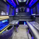 Party Bus - Sprinter