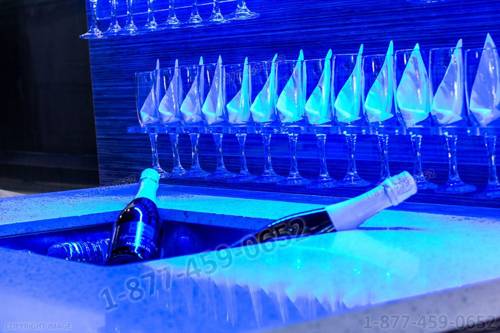 Party Bus: MCI-1