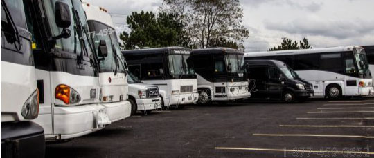 toronto party bus
